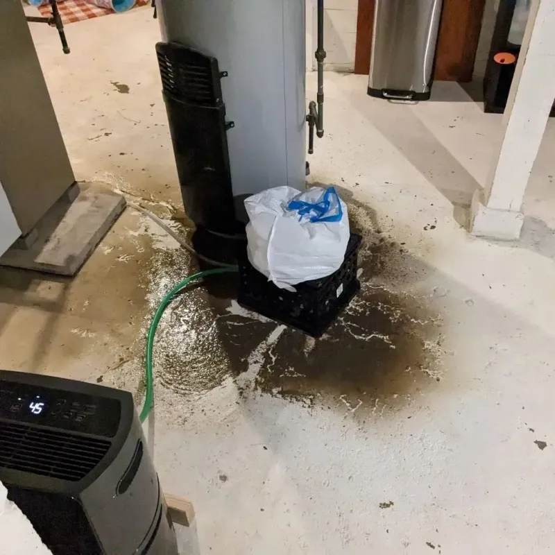 Sewage Backup Cleanup Service in Nettleton, MS
